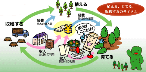 植える、育てる、収穫するのサイクル